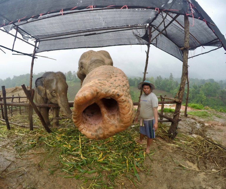 DCIM100GOPROGOPR2255.