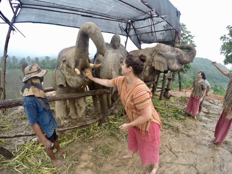 DCIM100GOPROGOPR2357.