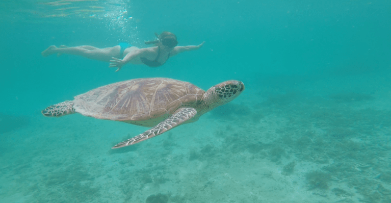 Capture d’écran 2019-10-17 à 16.41.17.png