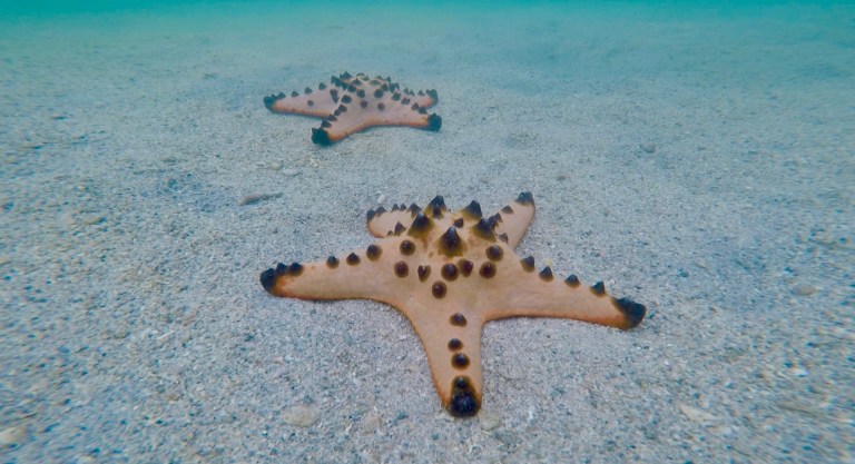 Capture d’écran 2019-10-30 à 22.05.20.jpg