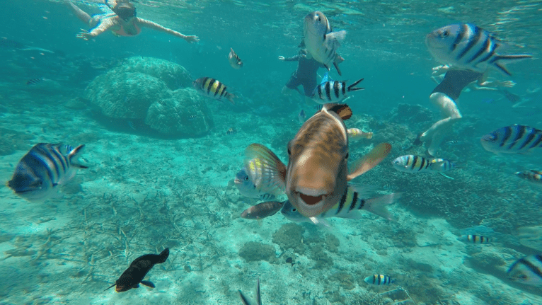 76227411_426545754941713_6279618206843797504_n